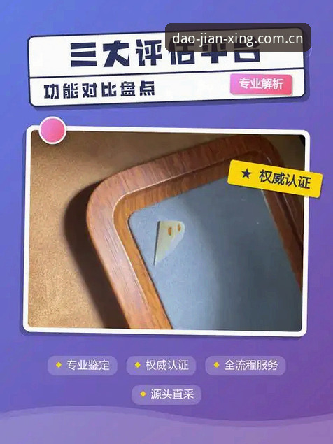 资深评测员实战分享：华体会平台三大端体验对比与登录更新避坑指南
